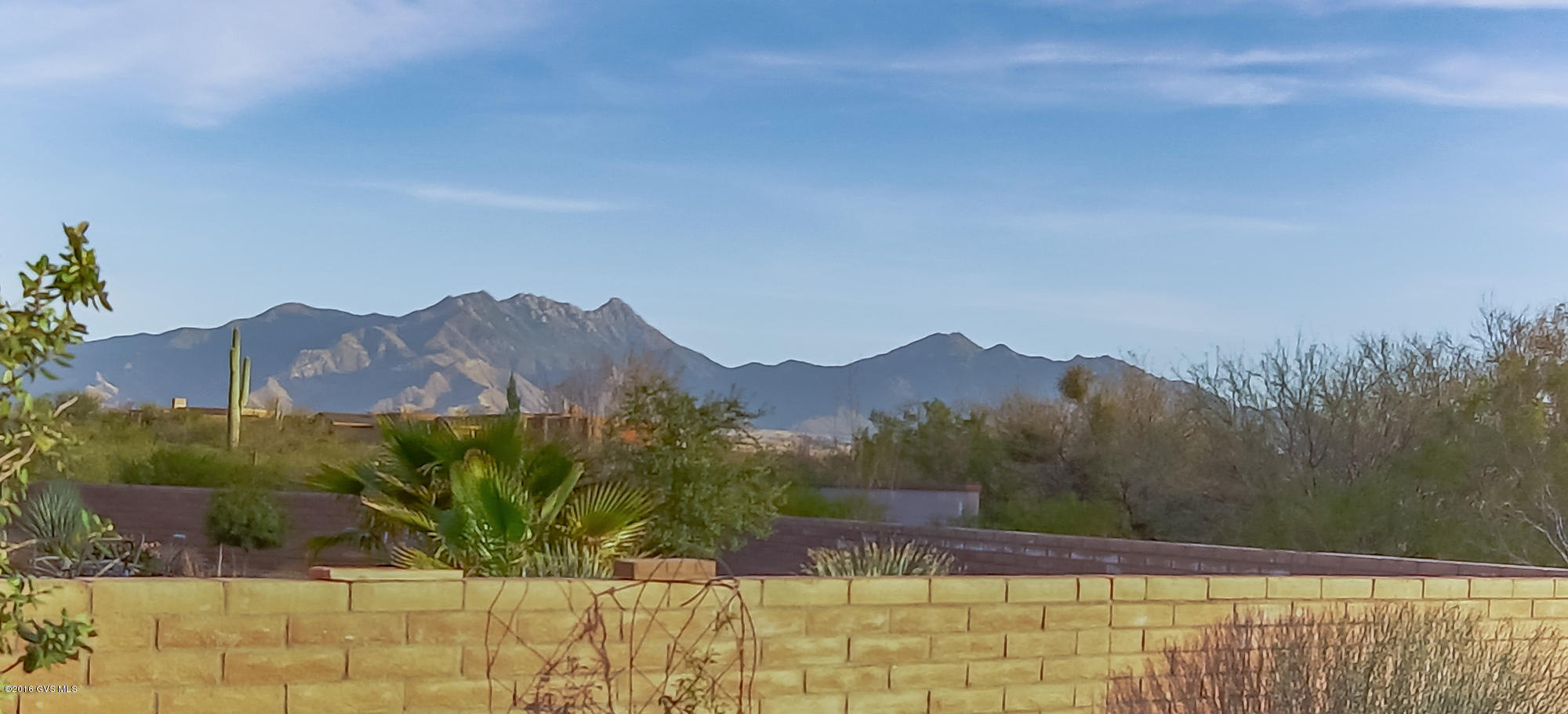 551 N Easter Lily Lane