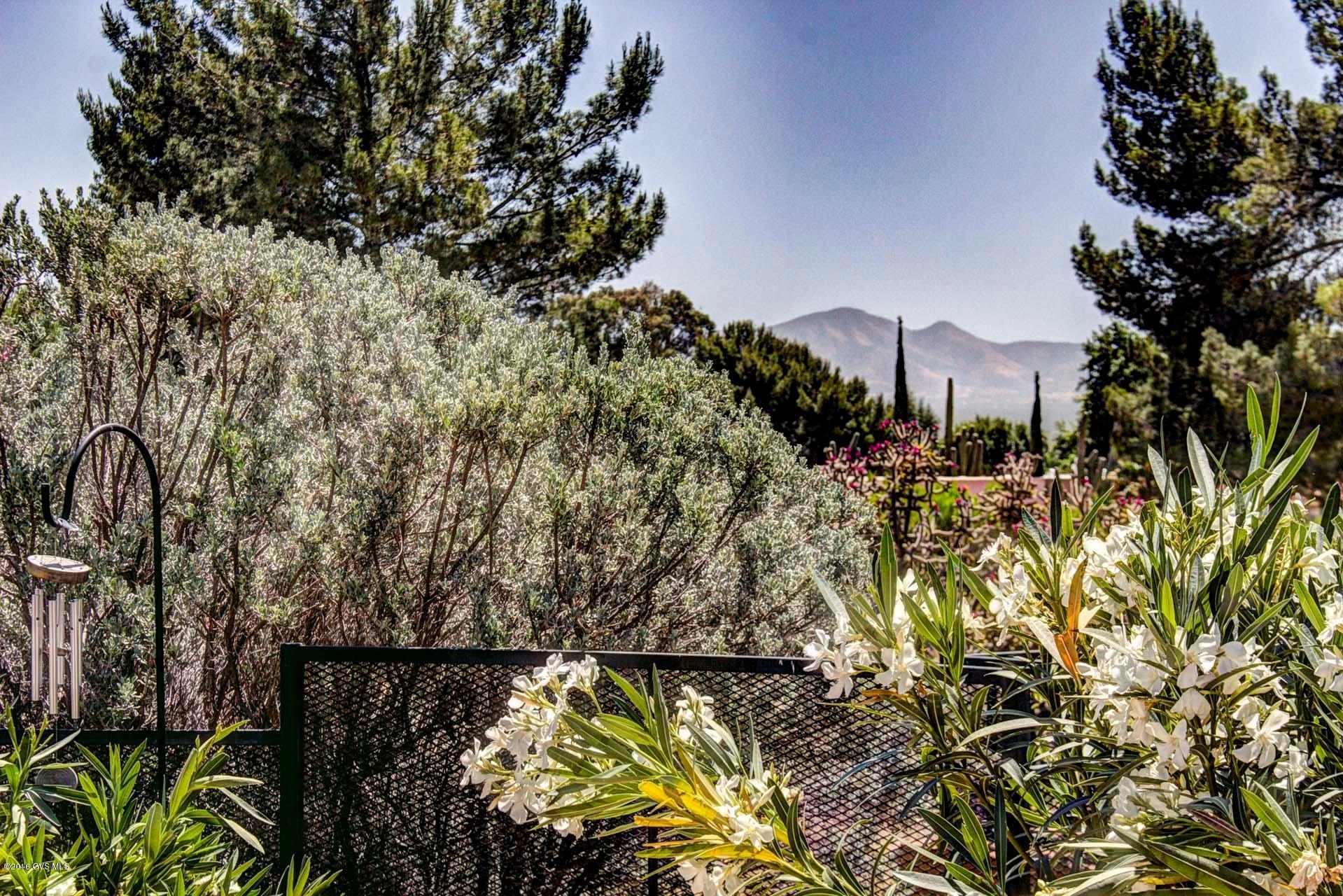 1232 N Paseo Del Cervato