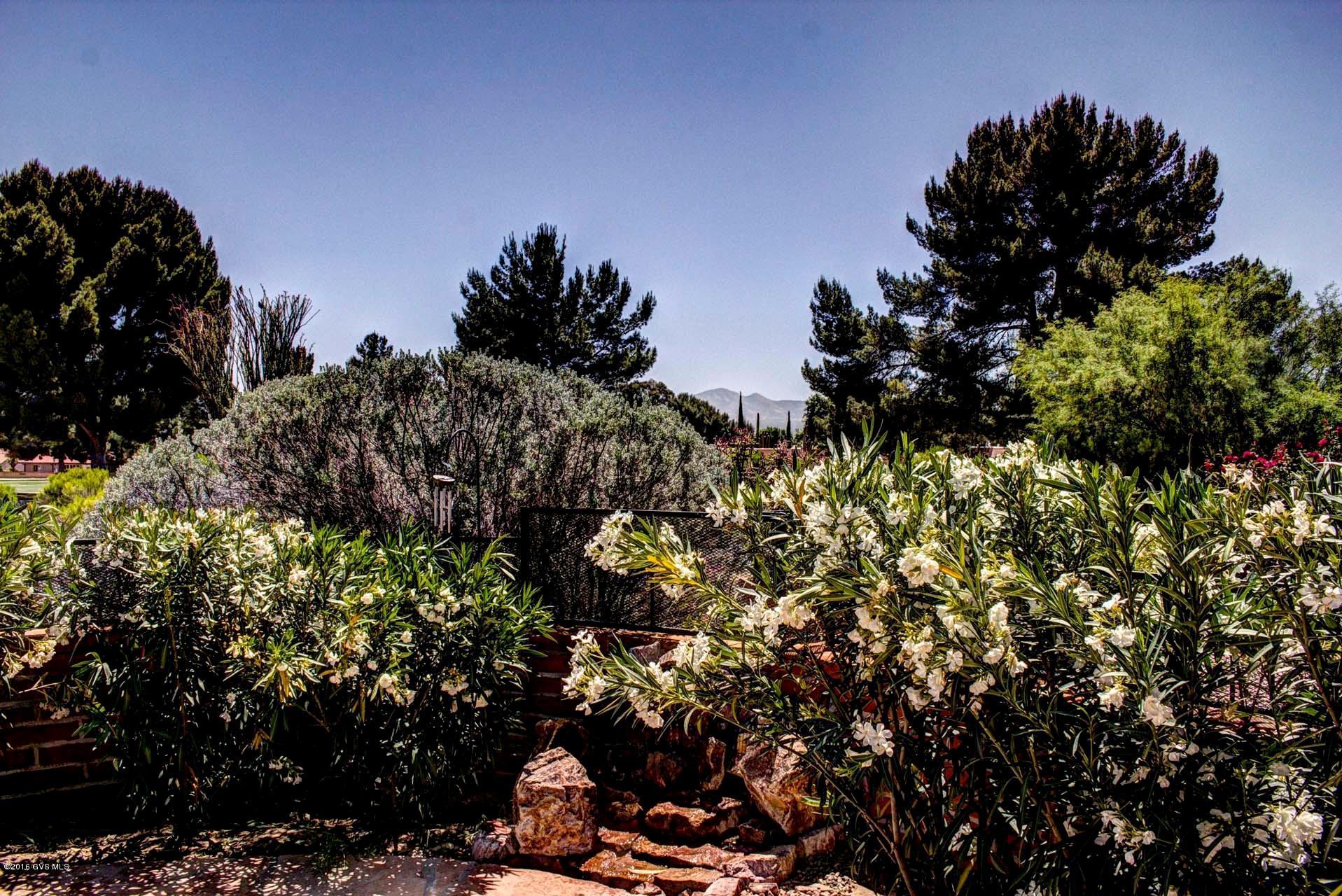 1232 N Paseo Del Cervato