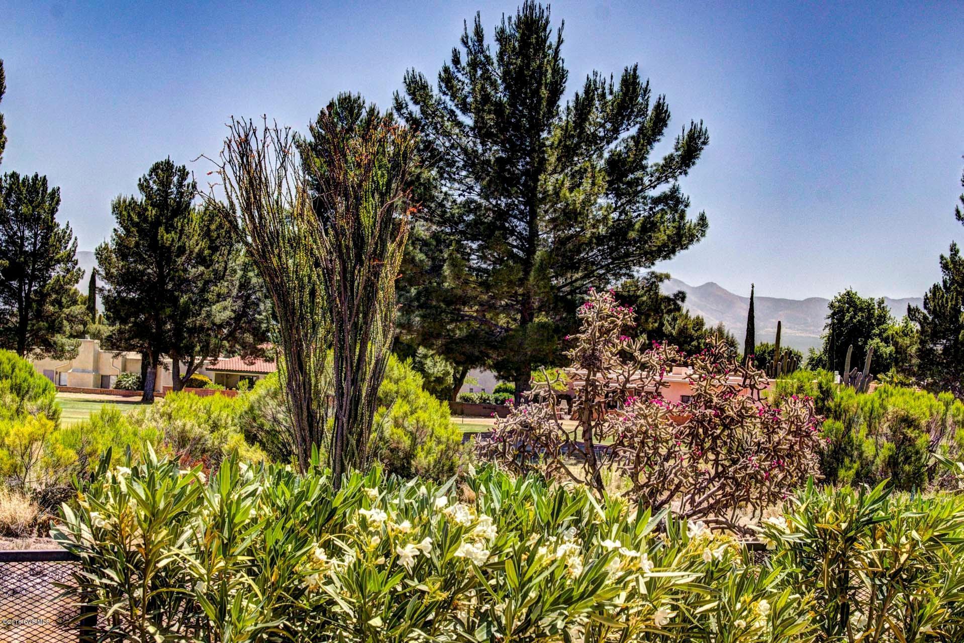 1232 N Paseo Del Cervato