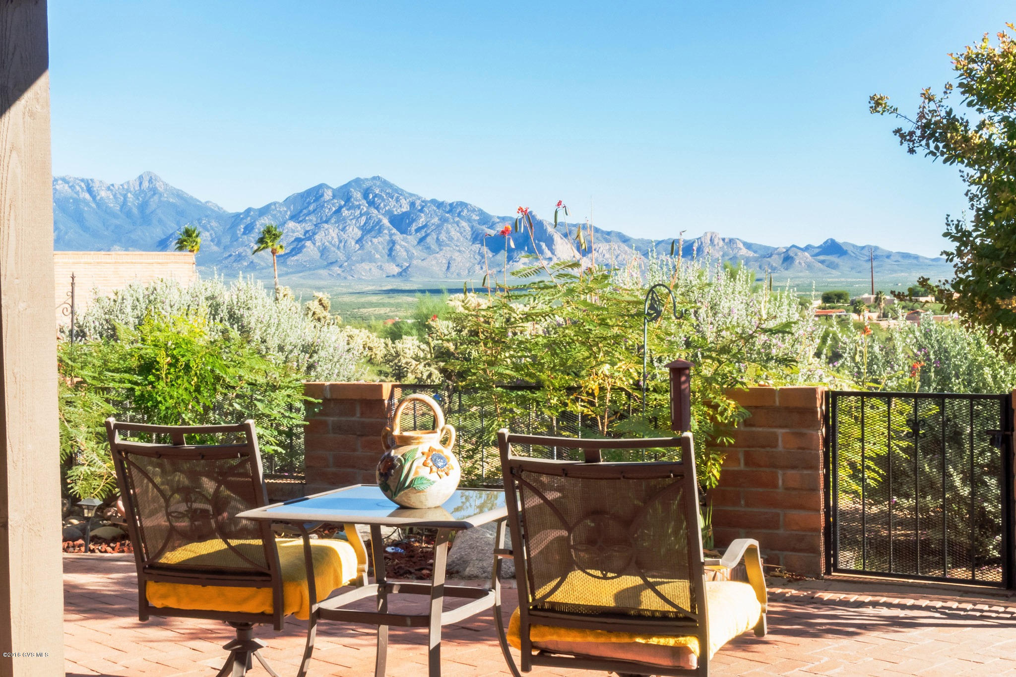 1445 W Camino Del Pato