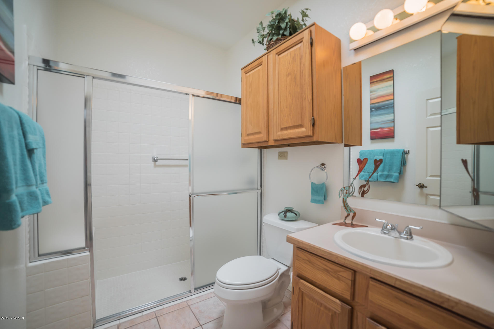 1445 W Camino Del Pato