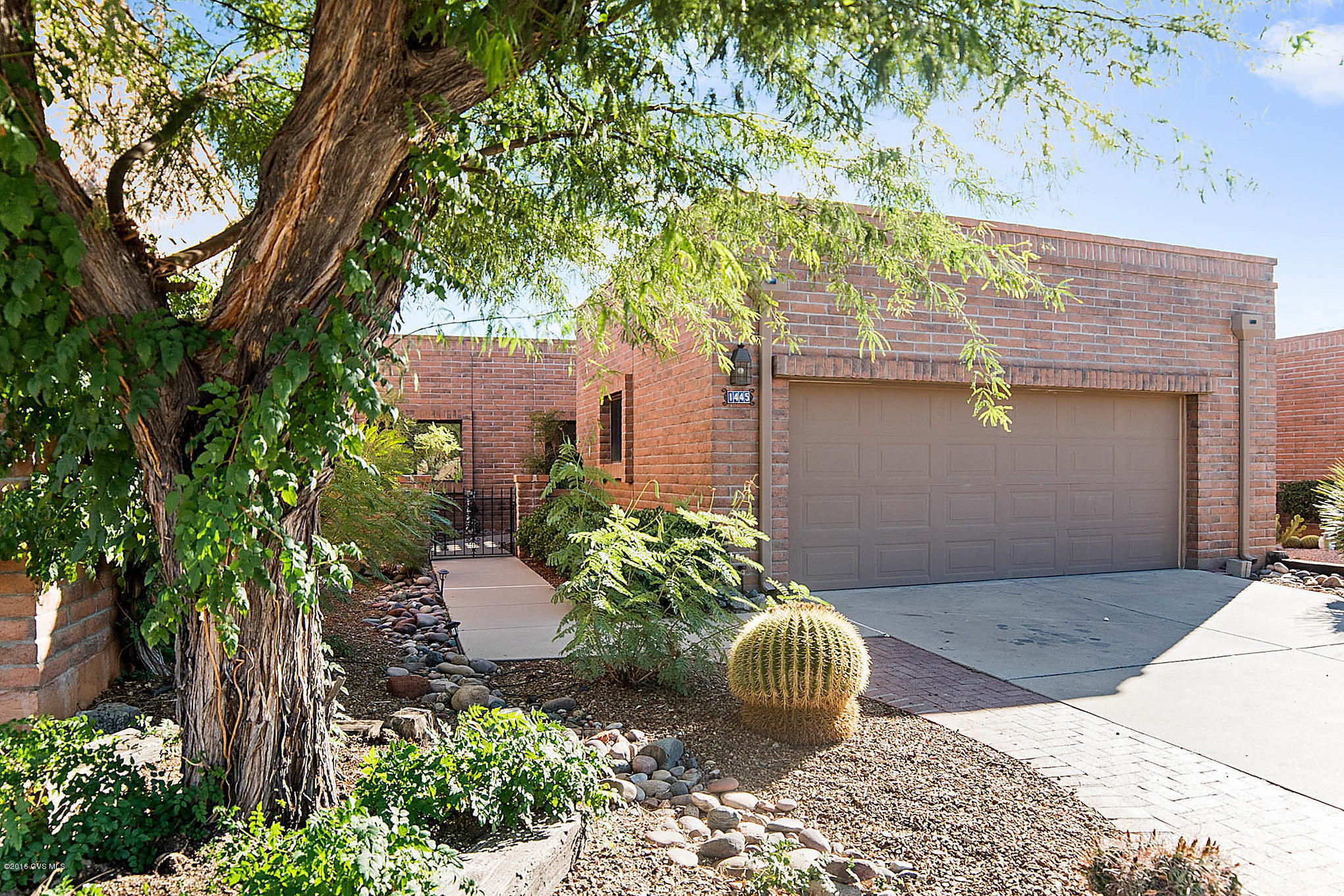 1445 W Camino Del Pato