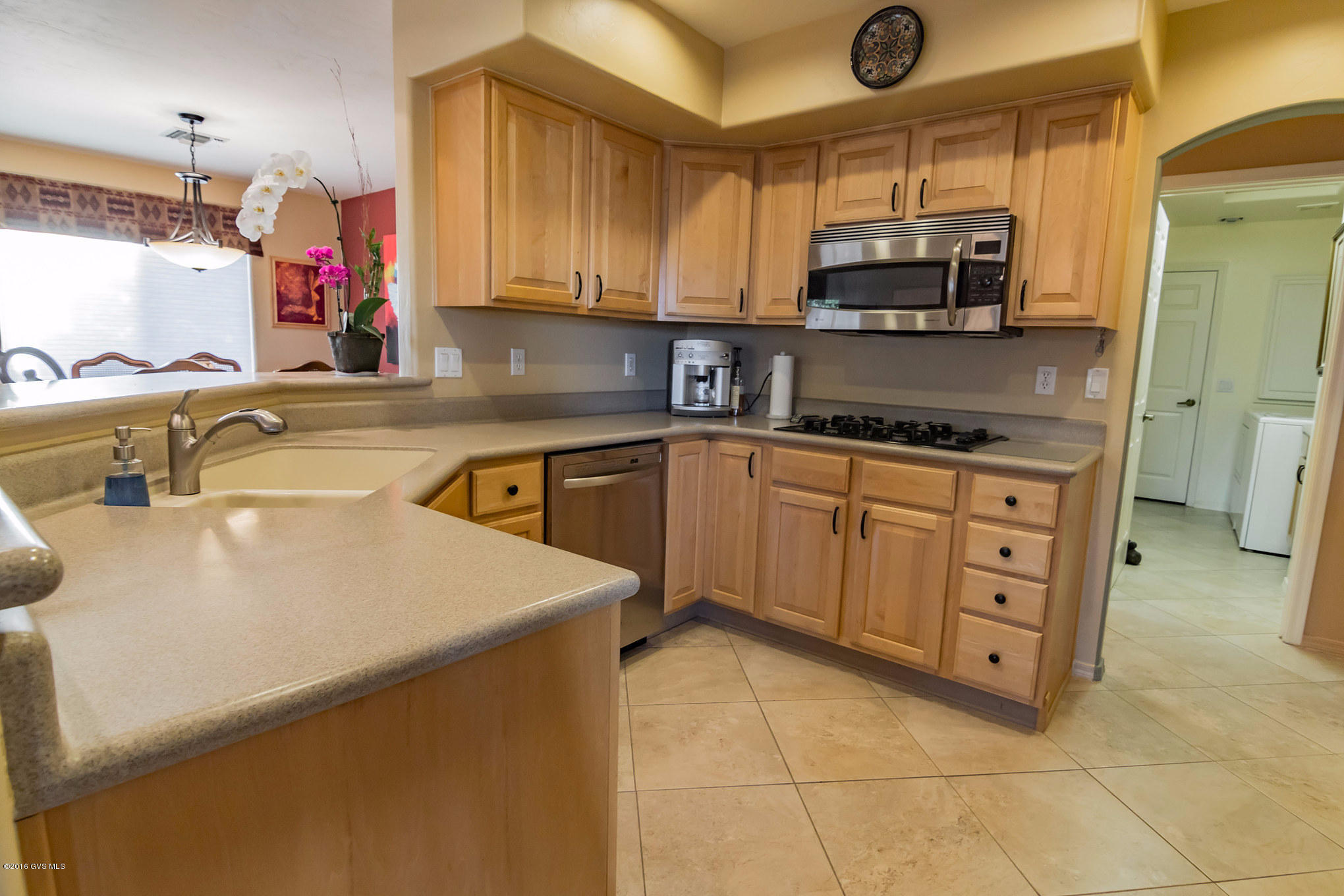 913 W Camino Tierra Libre