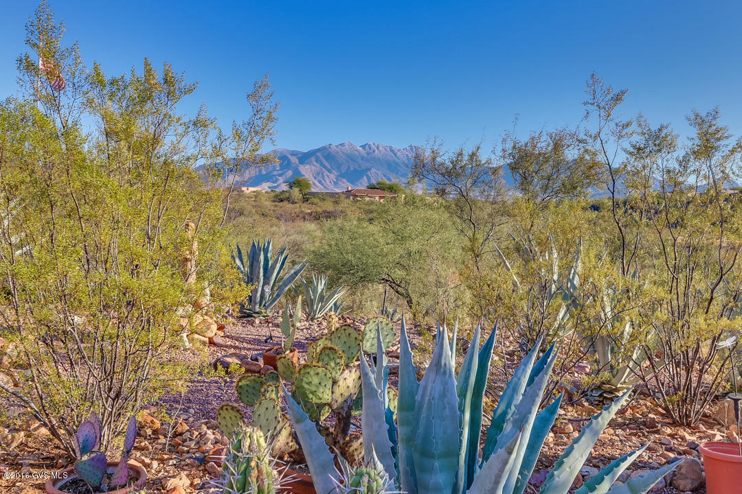 1575 S Walnut Spring Place