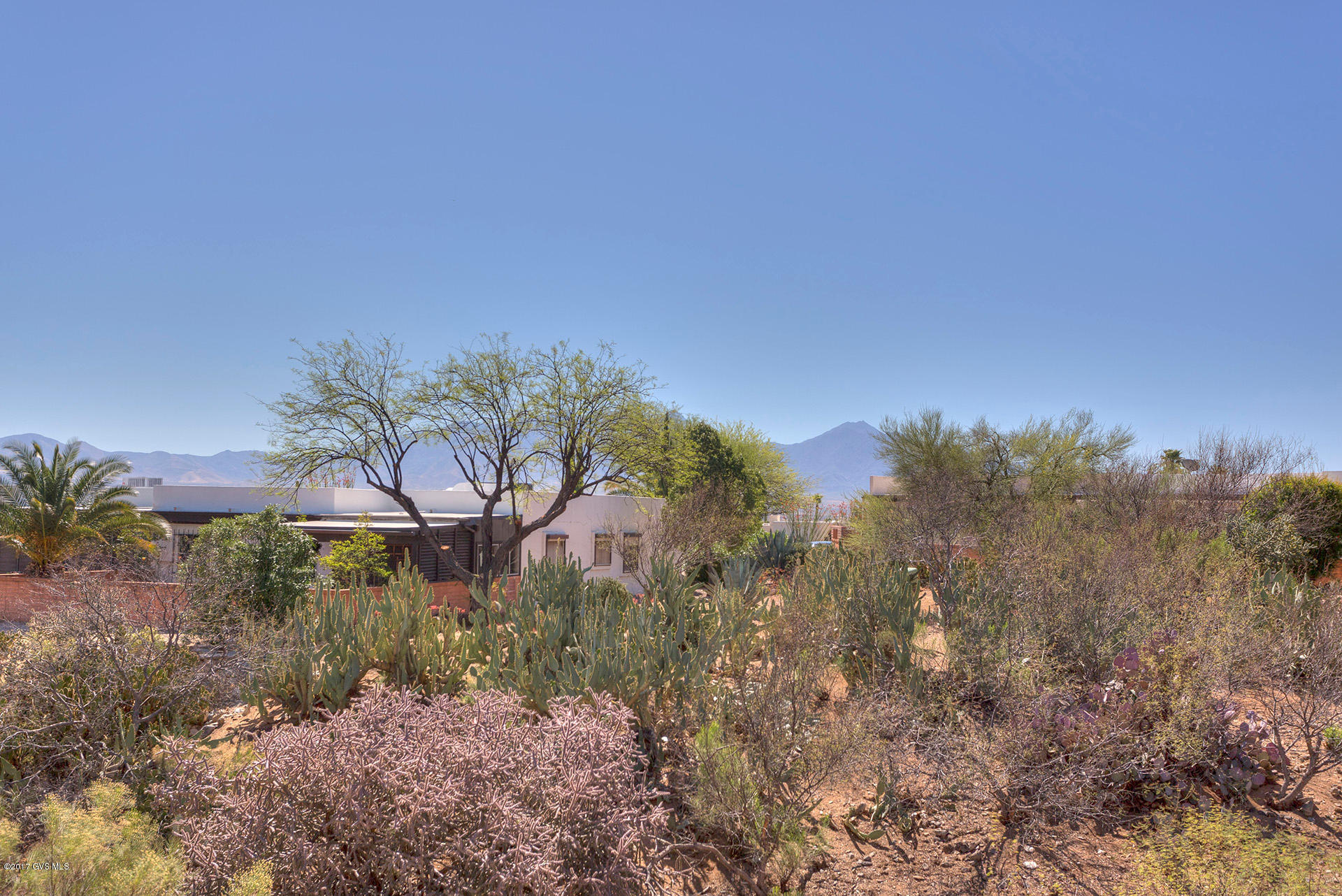 867 S Camino Guarina