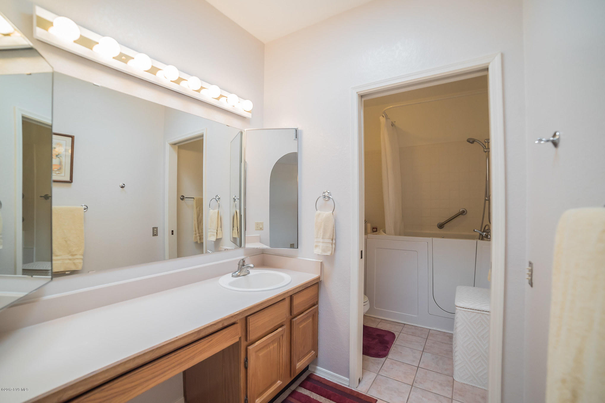 1445 W Camino Del Pato