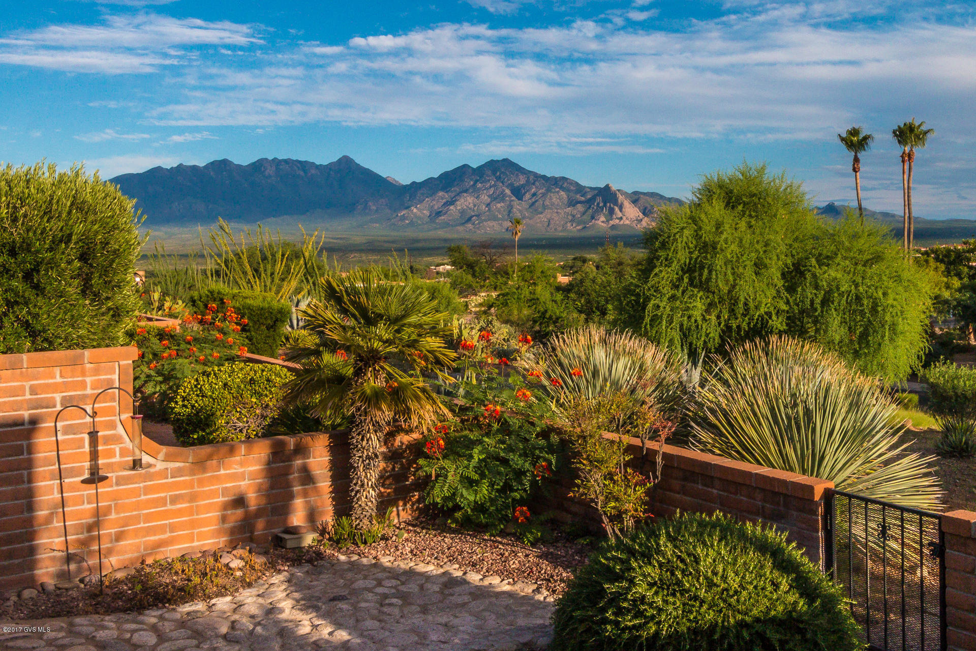 1657 W Calle Del Grajo