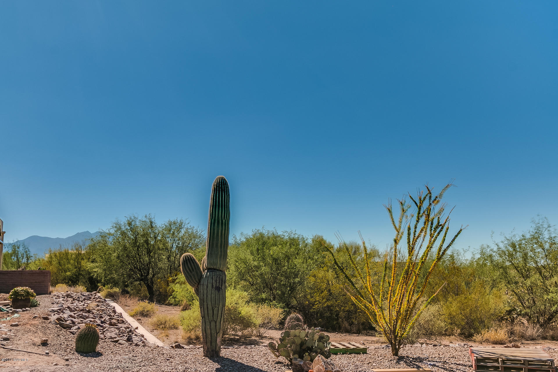 1705 E Night Heron Court