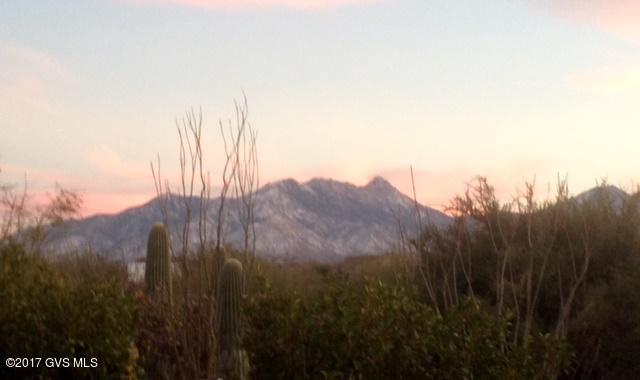 1705 E Night Heron Court