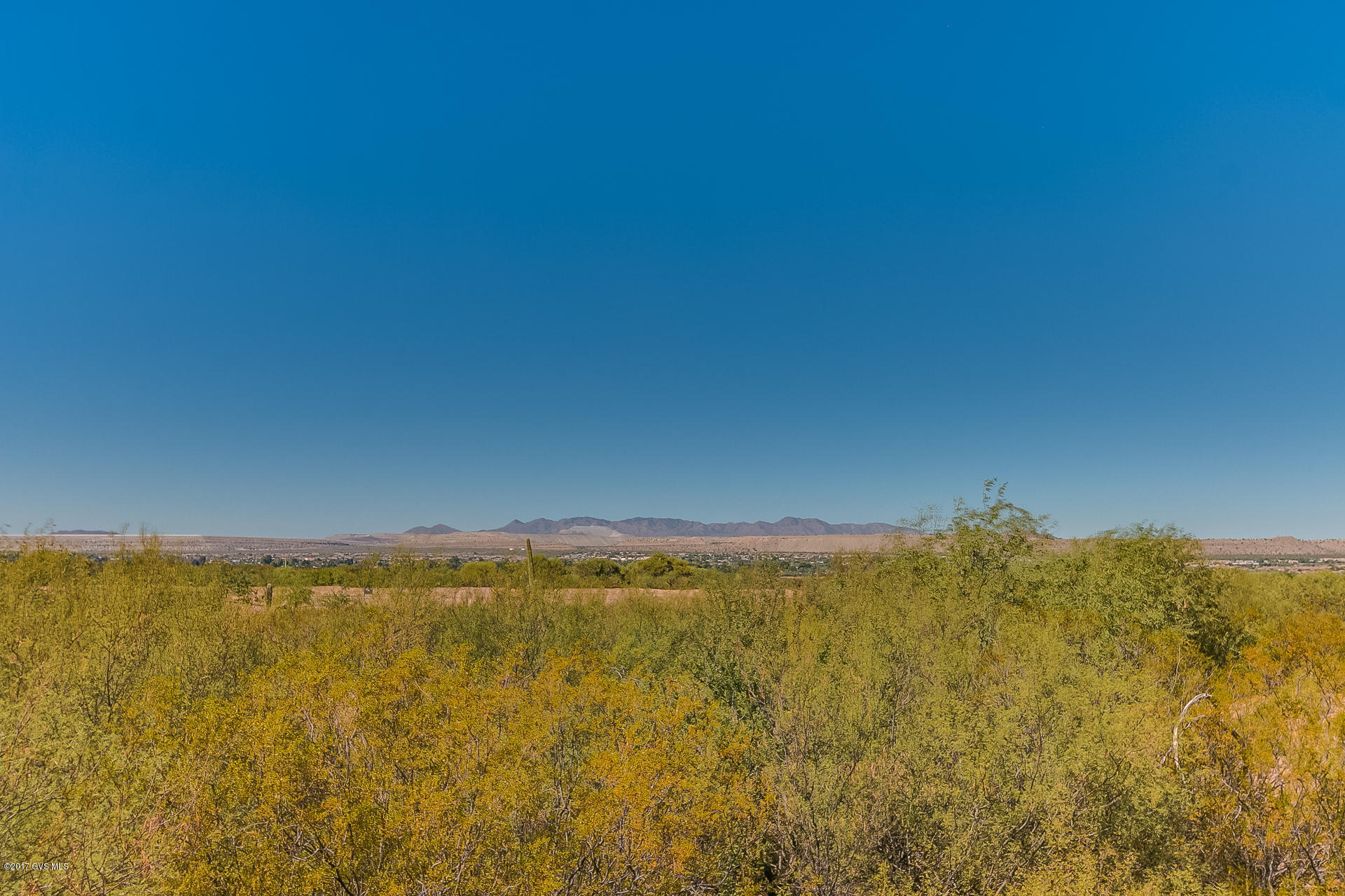 1705 E Night Heron Court