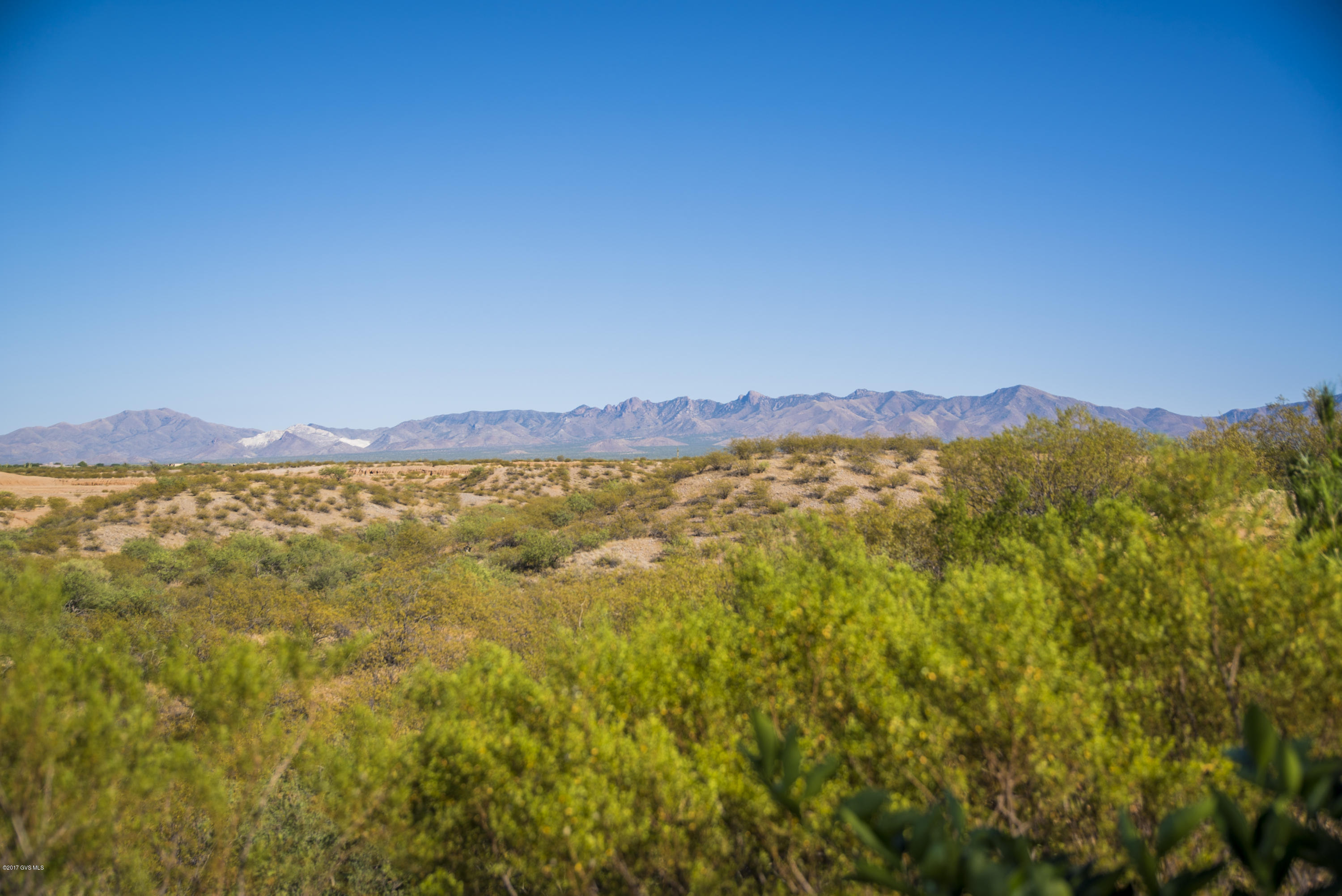 1185 E Stronghold Canyon Lane