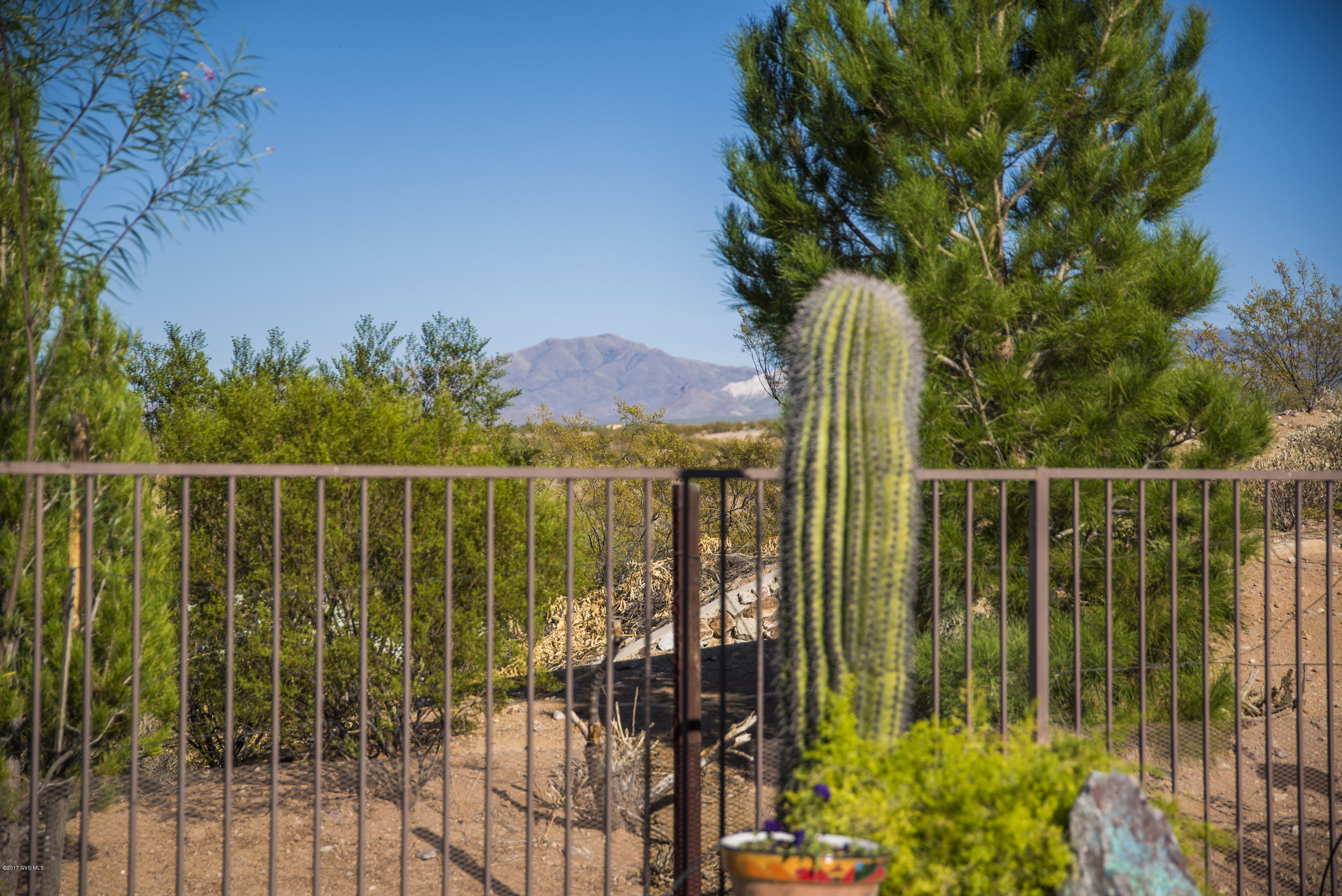 1185 E Stronghold Canyon Lane