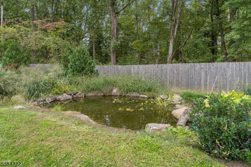 25 Chalfonte Dr