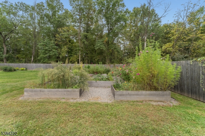 25 Chalfonte Dr