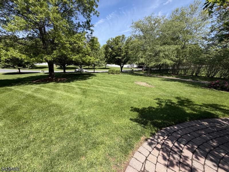 38 Grove Farm Rd