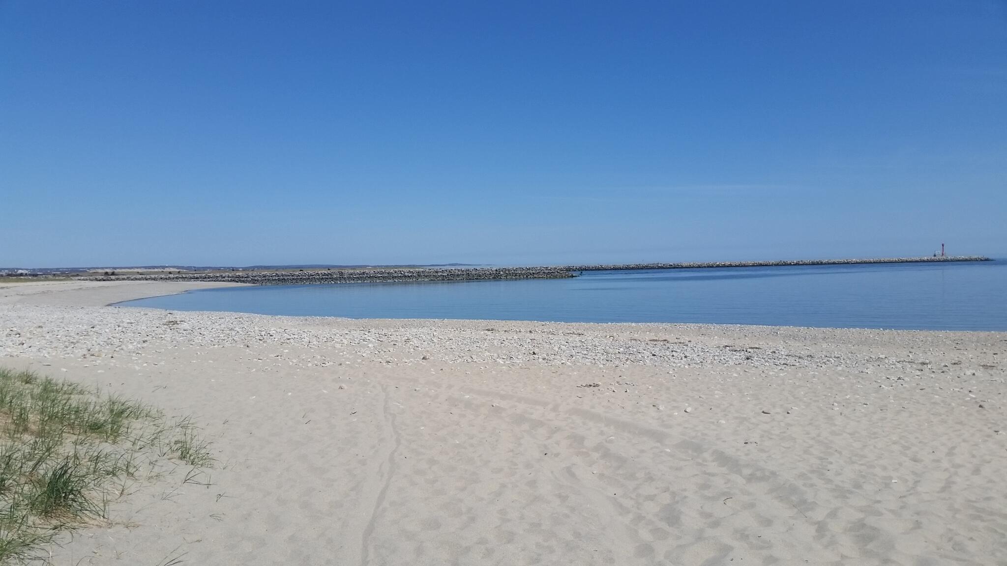 72 Dillingham Avenue