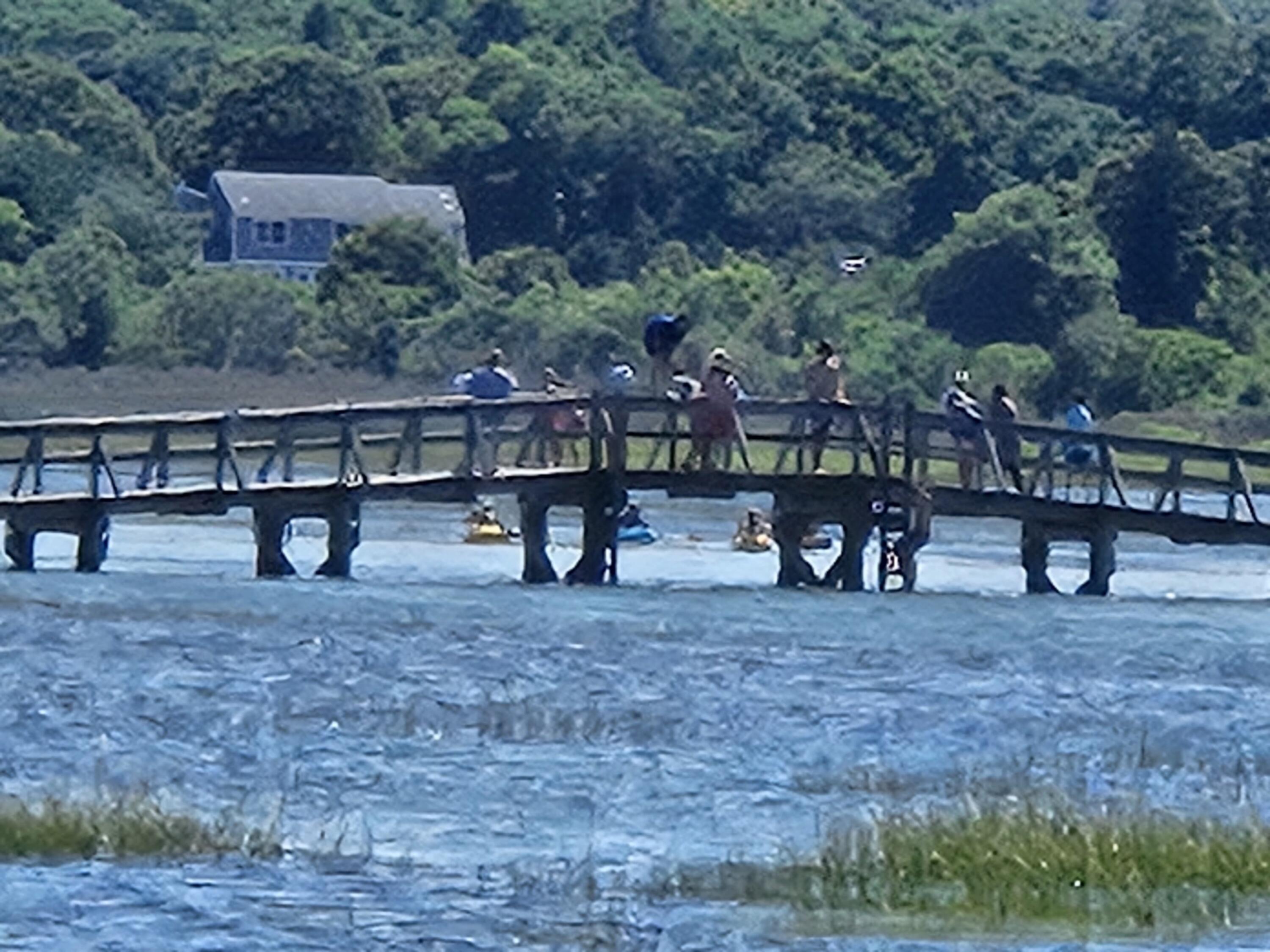 72 Dillingham Avenue