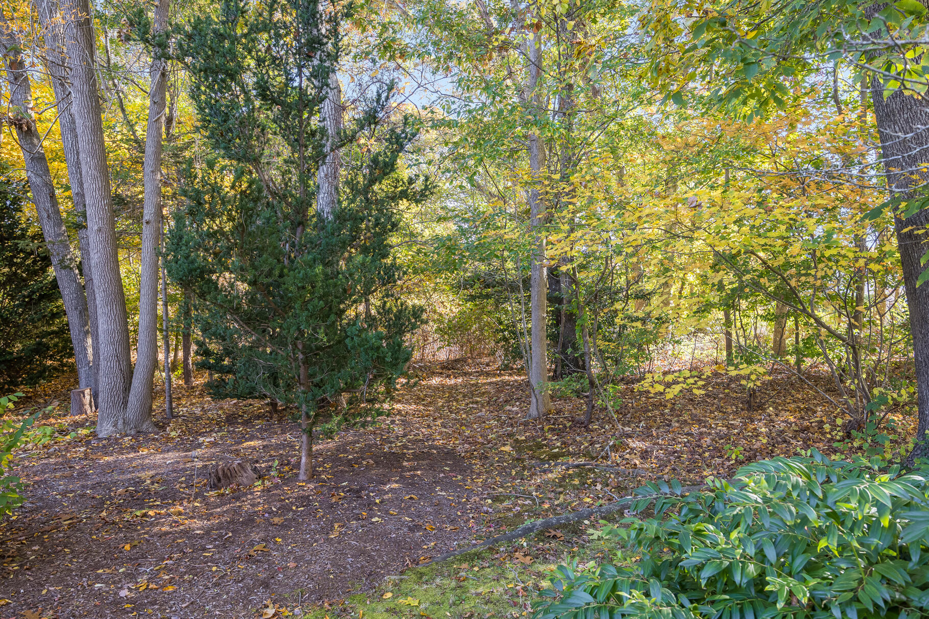 69 Hamlin Avenue