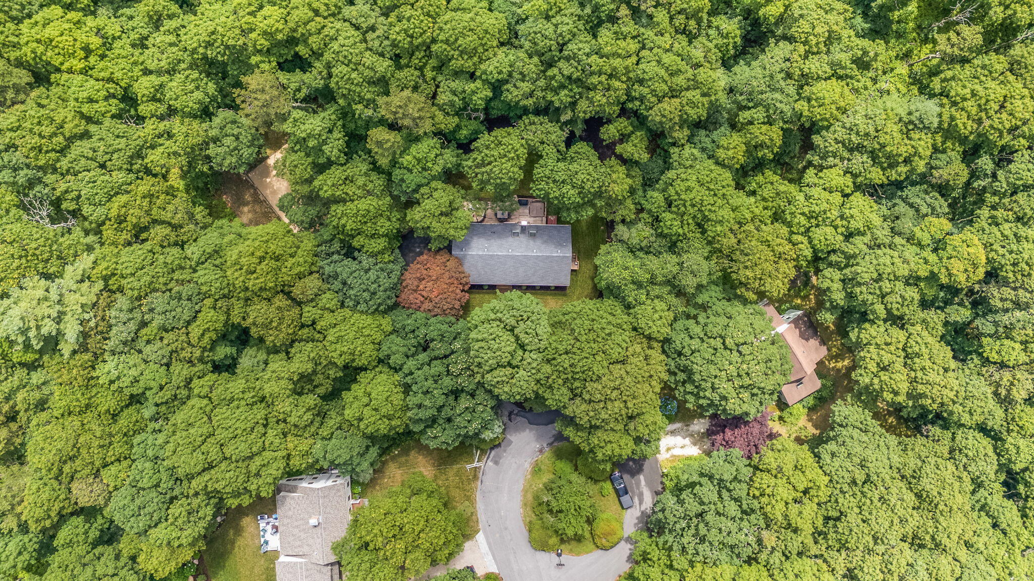 126 Ambleside Drive