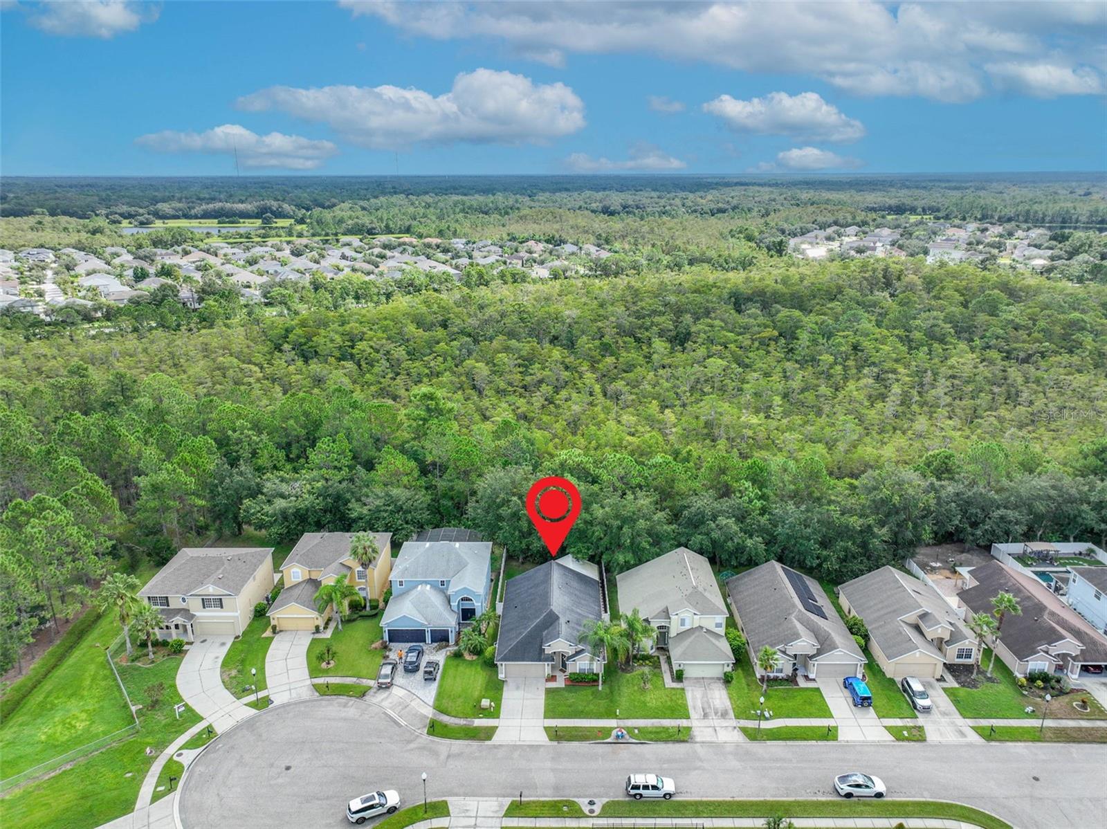 2313 CARNATION HILL CT