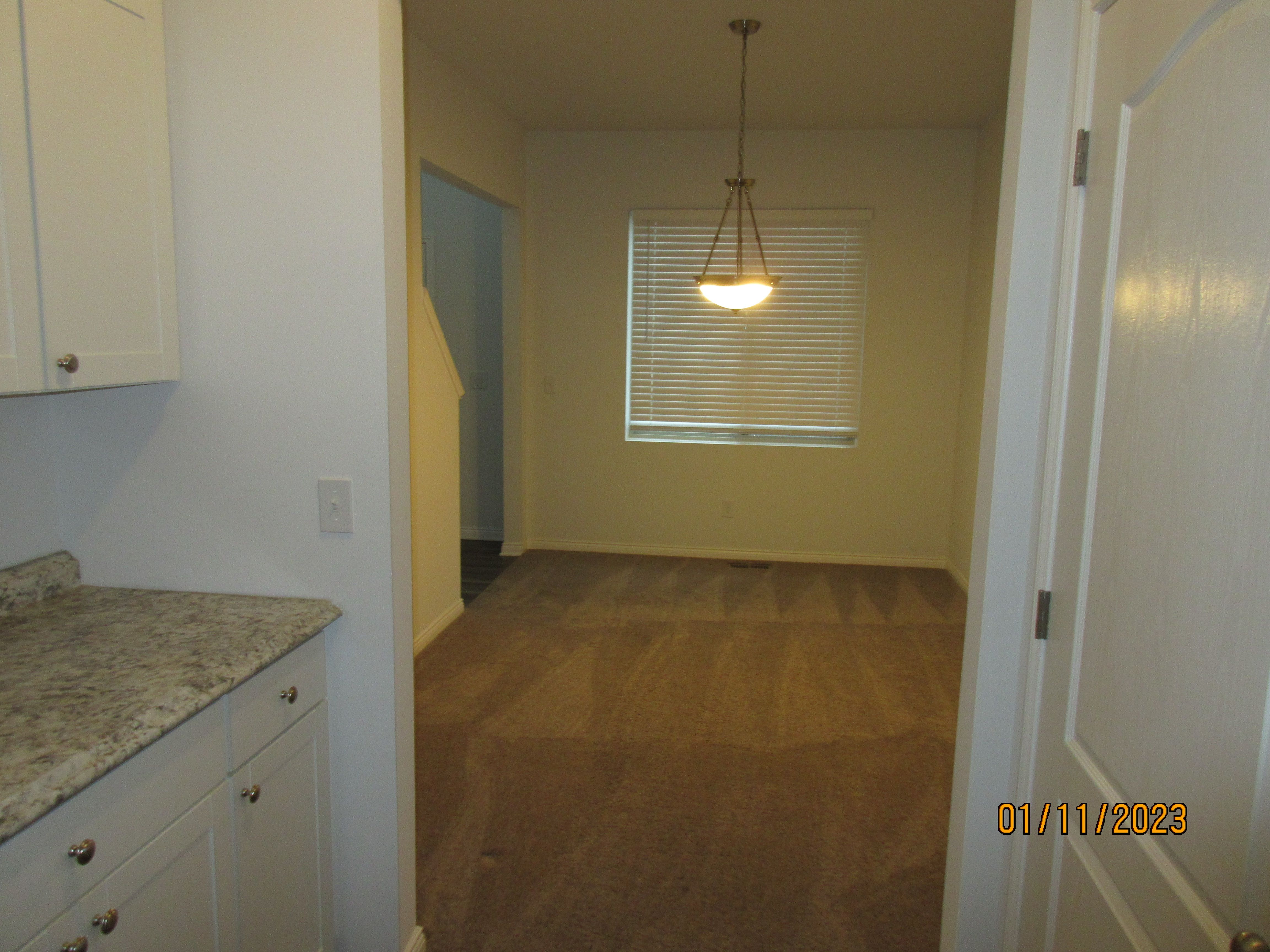 33307 BLUE SPRUCE Drive