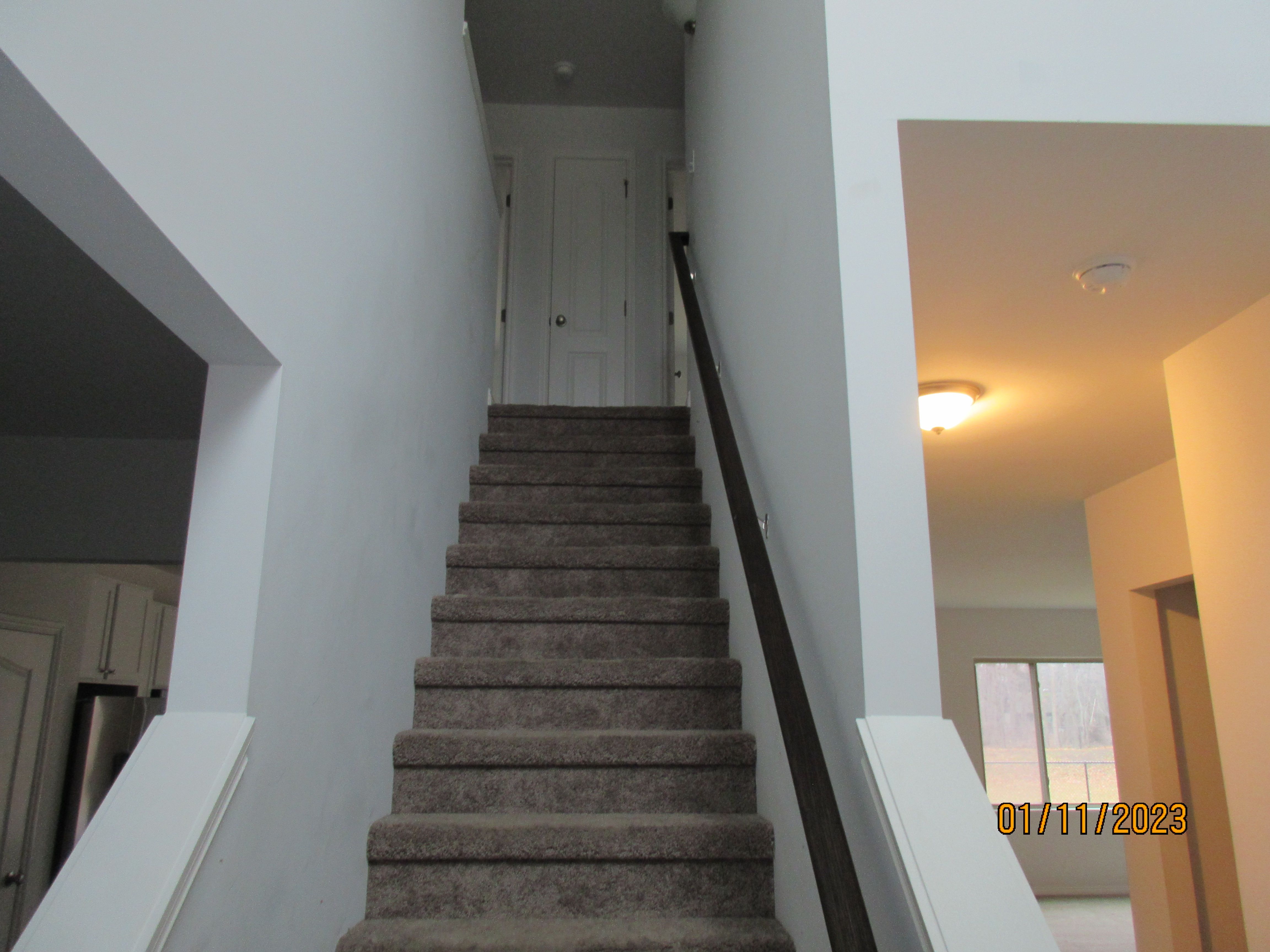 33307 BLUE SPRUCE Drive