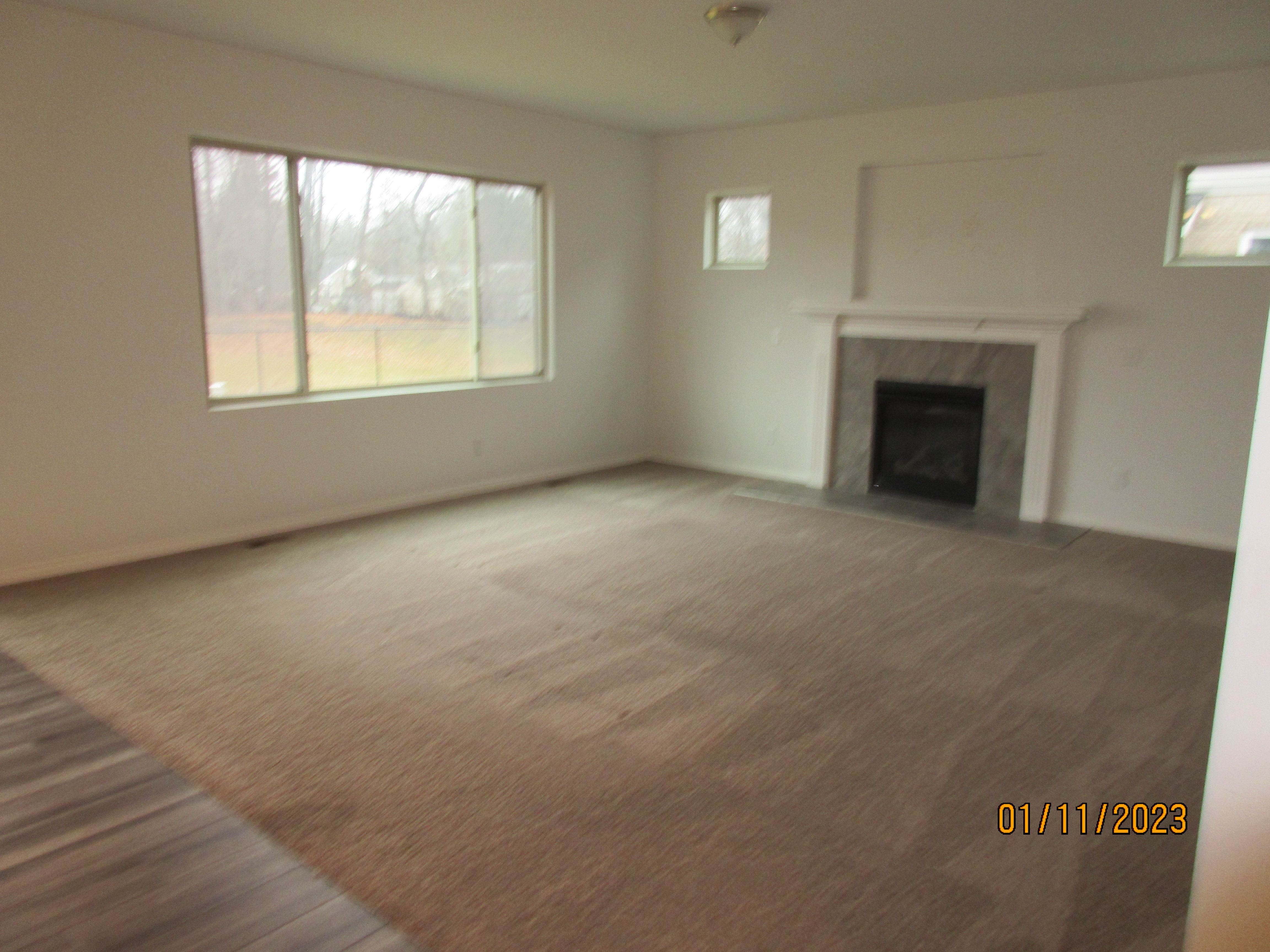 33307 BLUE SPRUCE Drive