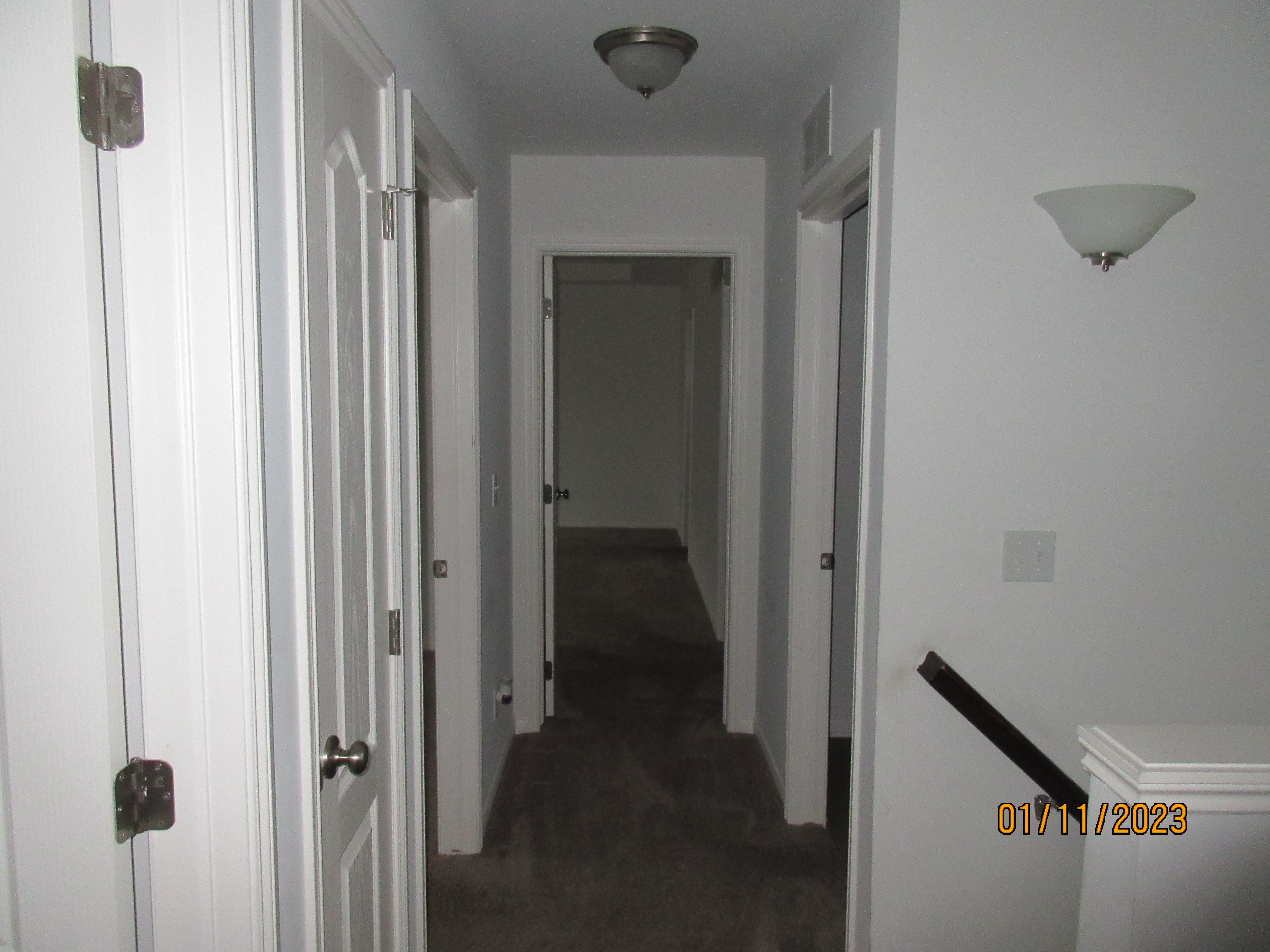 33307 BLUE SPRUCE Drive