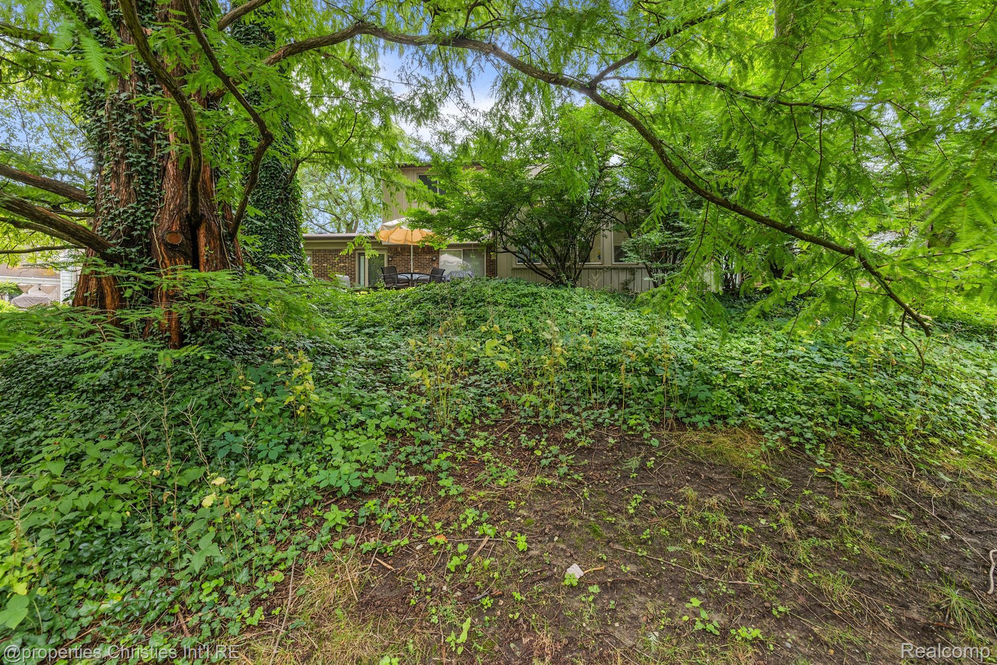 34150 OLD TIMBER Court