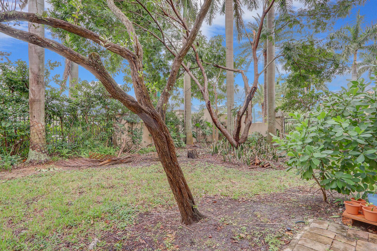 3215 Scarletta Drive