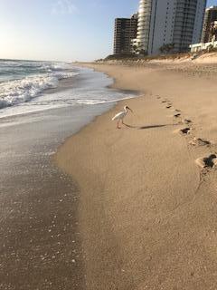 5420 N Ocean Drive 1406