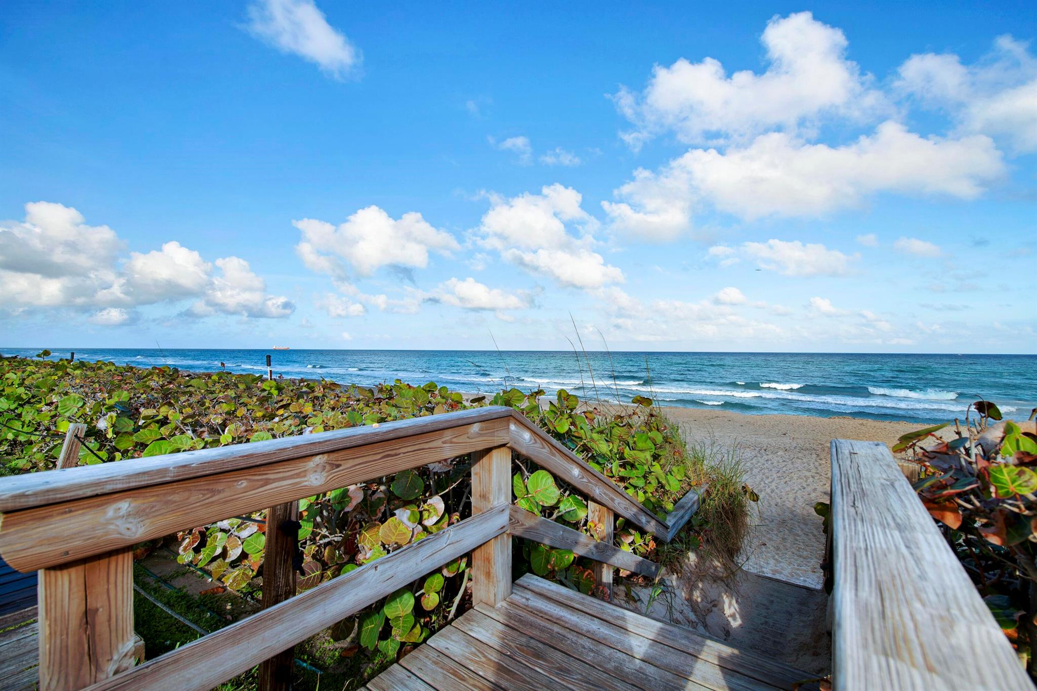 4200 N Ocean Drive 1-1705