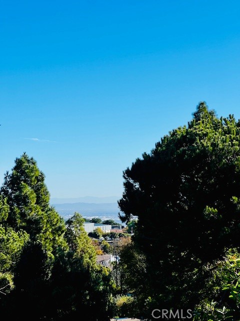 27118 Shorewood Road