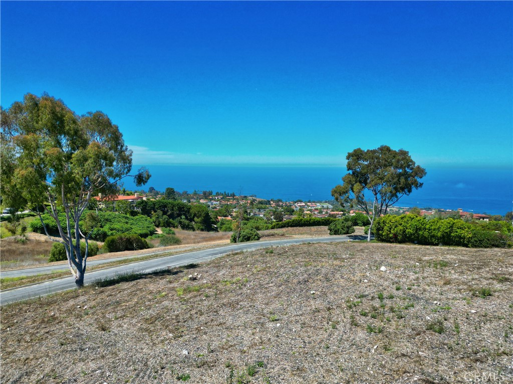 1520 Paseo La Cresta