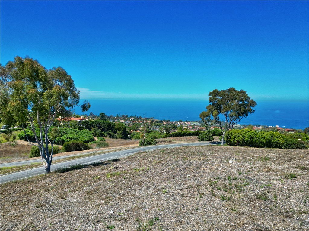1520 Paseo La Cresta