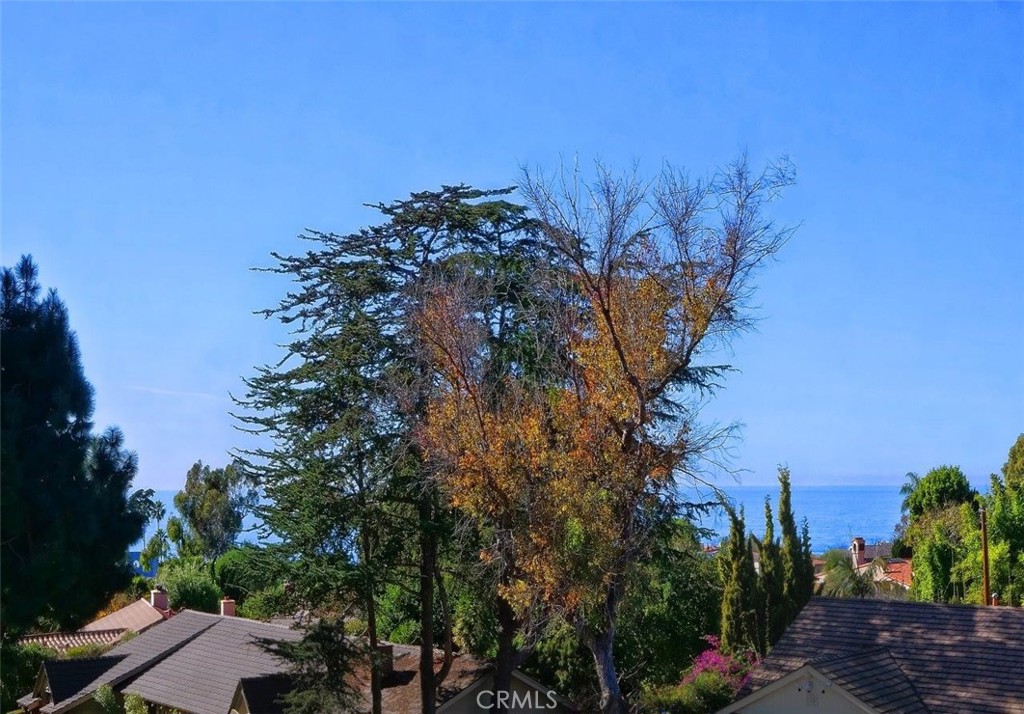 1724 Via Estudillo