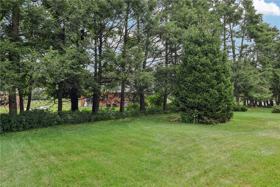105 Tannen Dr