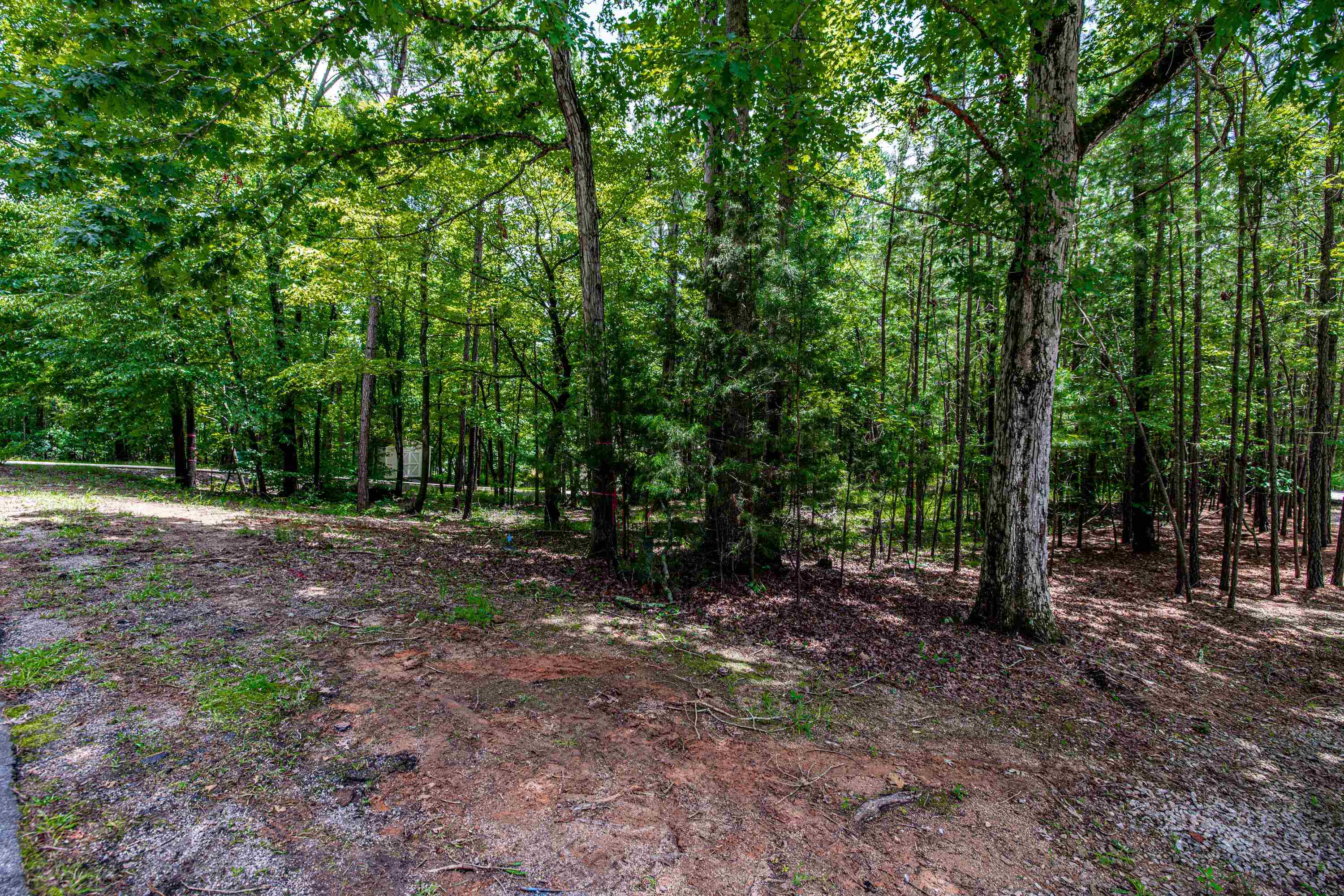 1511 WHITE OAK DRIVE
