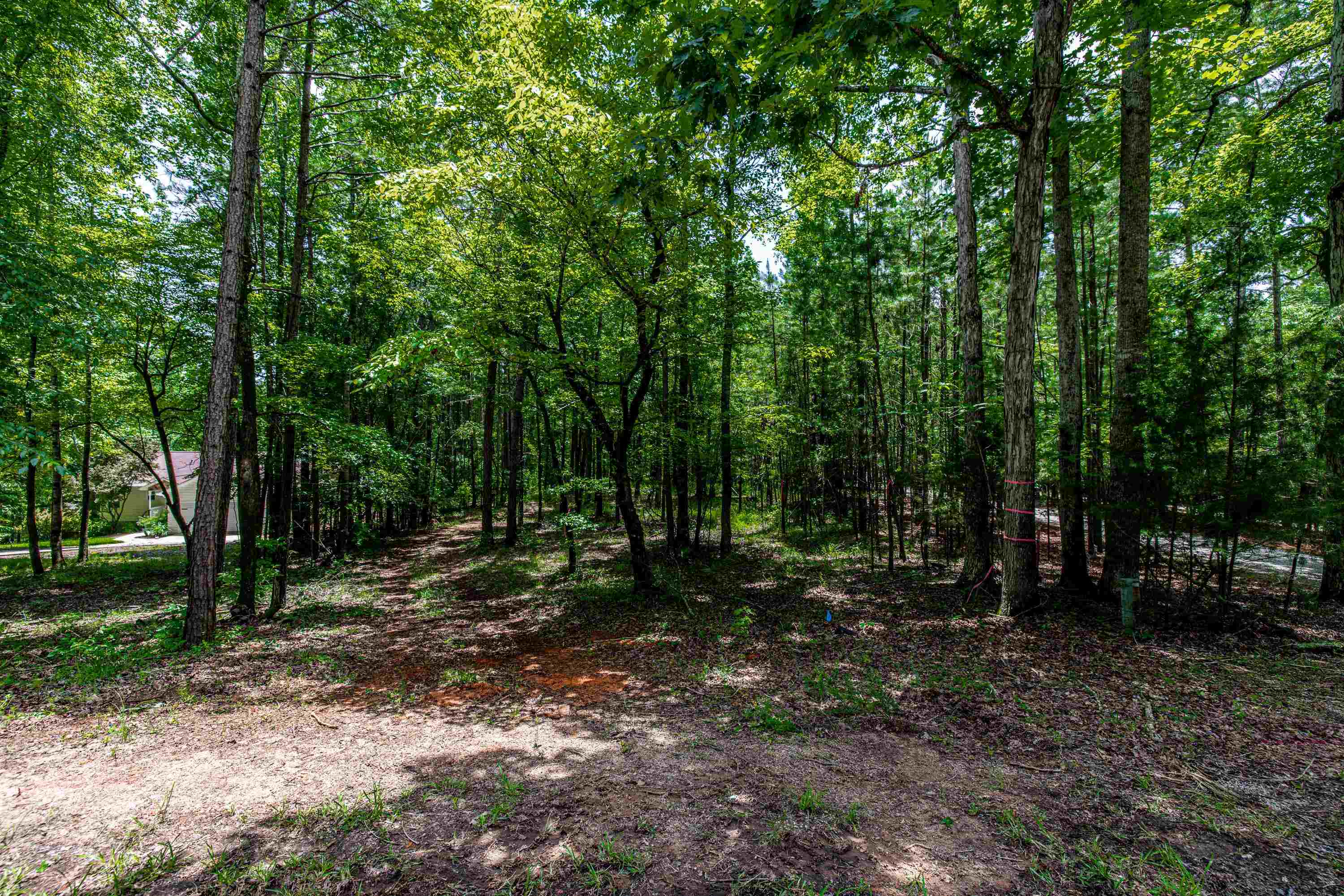 1511 WHITE OAK DRIVE