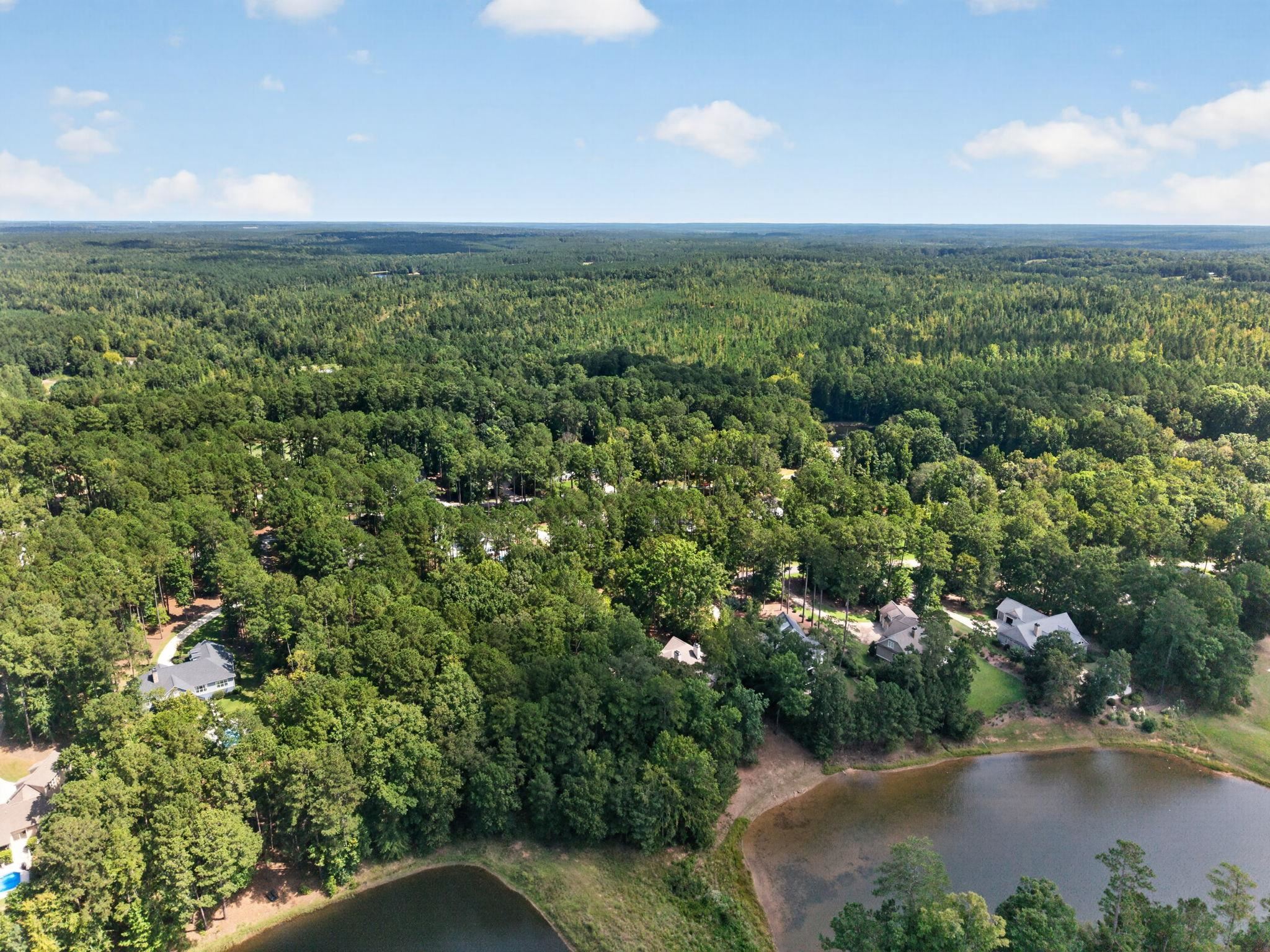 Aerial view of wooded homes beside two ponds, with forest extending to the horizon.