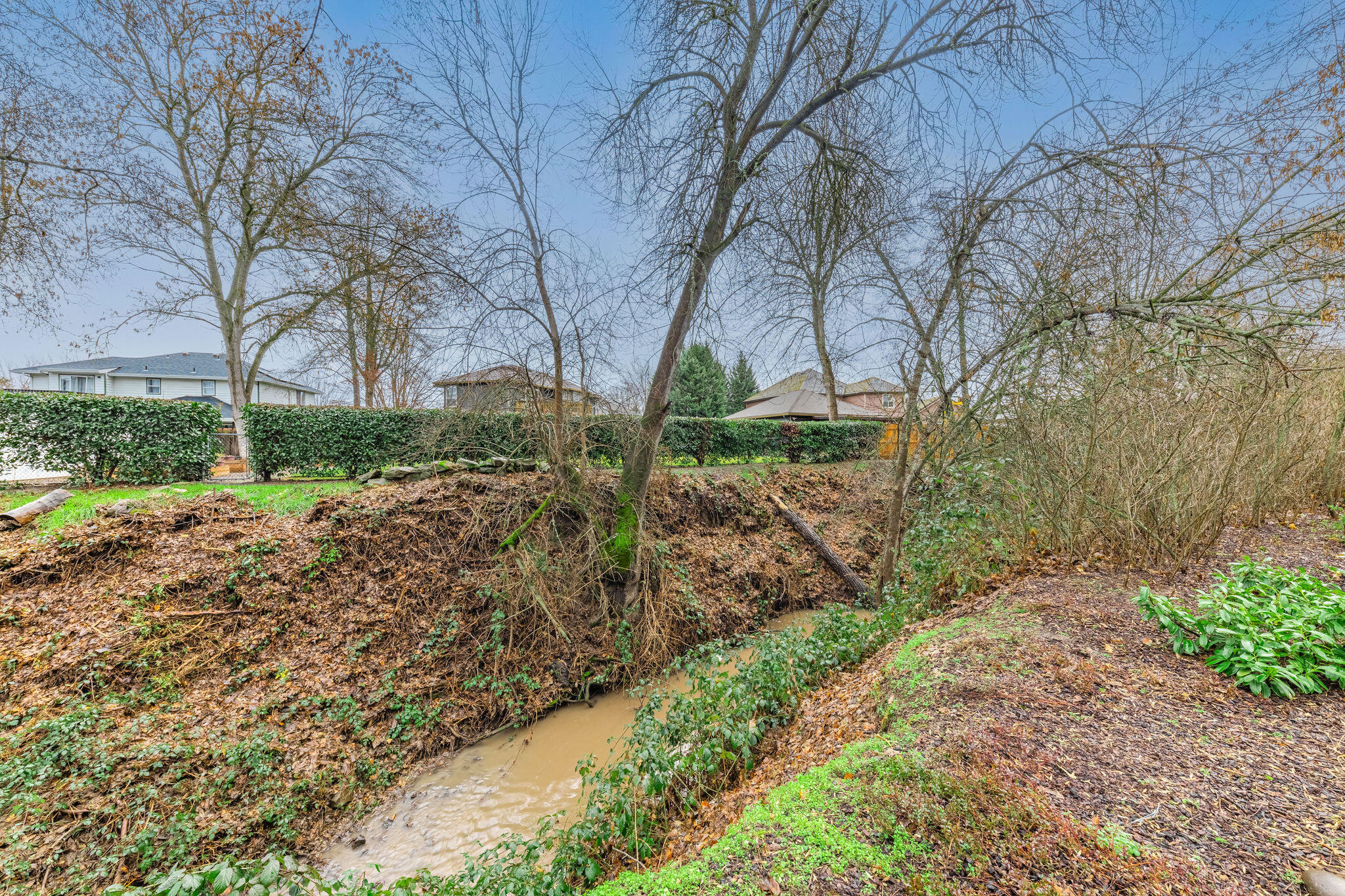 231 Wysteria Circle