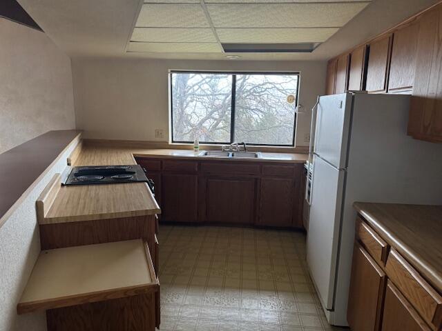 1751 Dragon Fly Lane