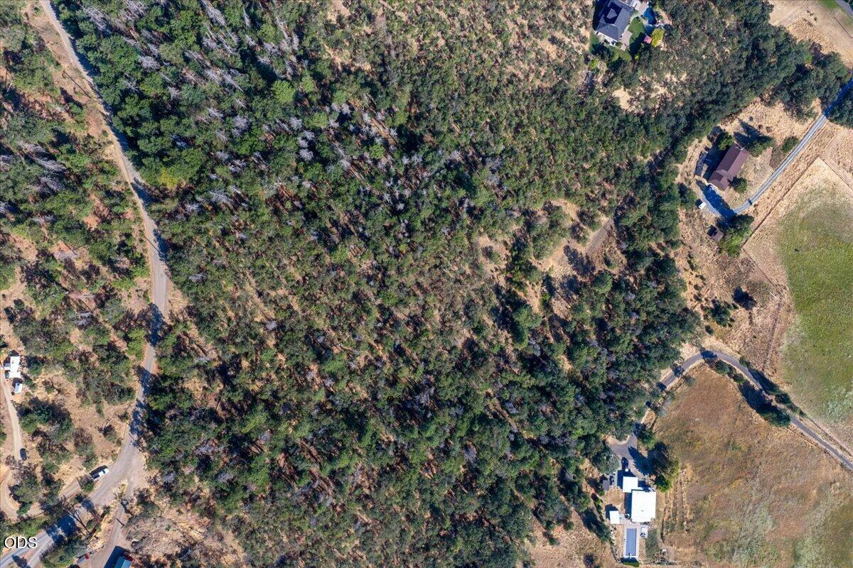4334 Clayton Road