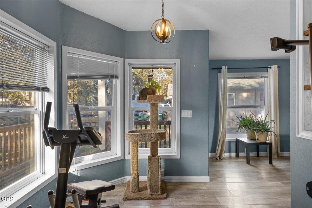 Bright blue-gray room with large windows, an exercise machine, and a carpeted cat tree.