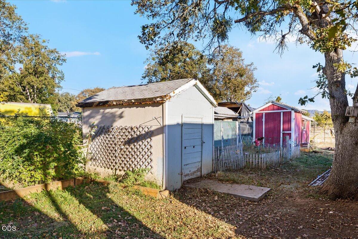 Backyard with several sheds, including a white shed and a red shed, beneath mature trees.