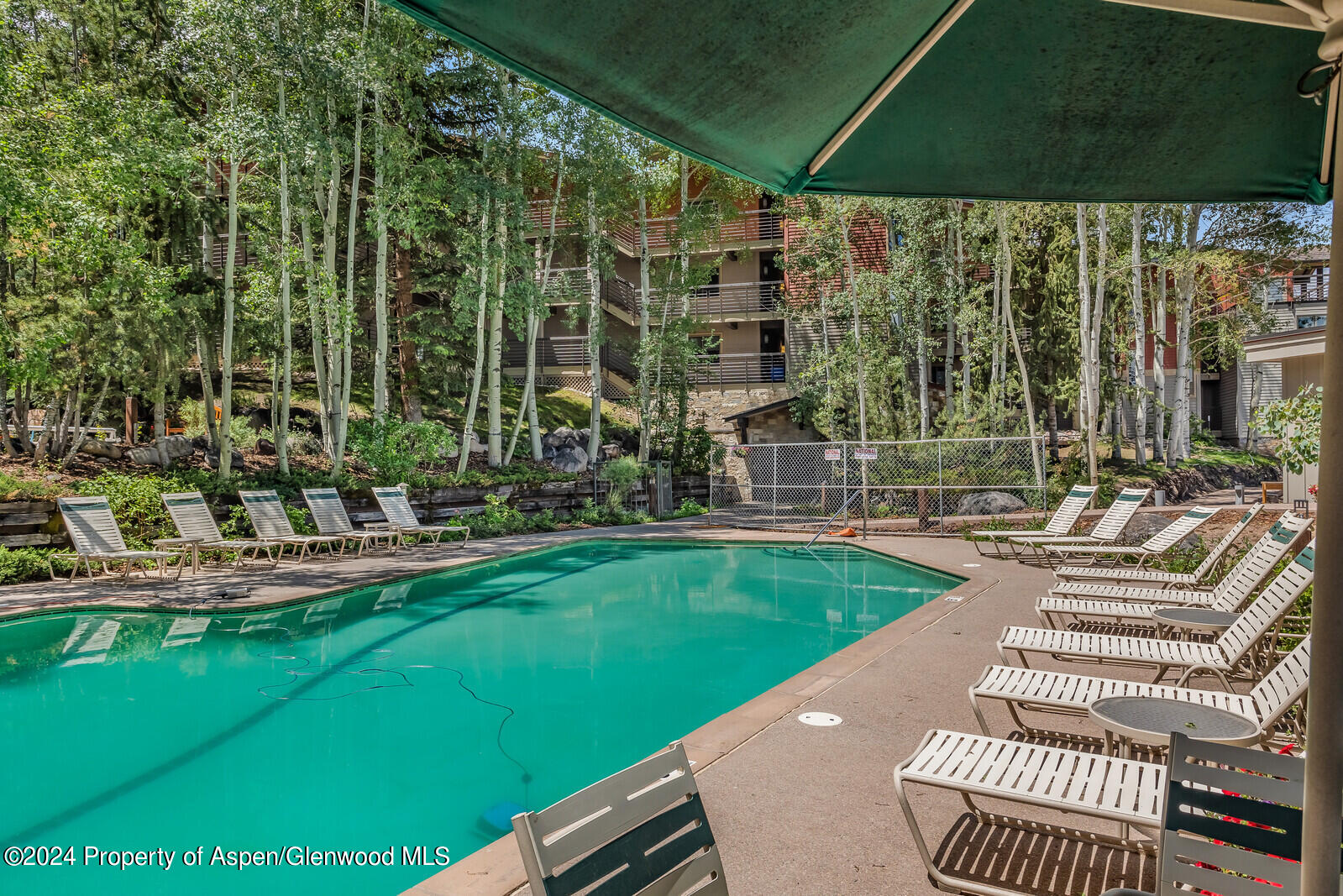 360 Wood Road, 301