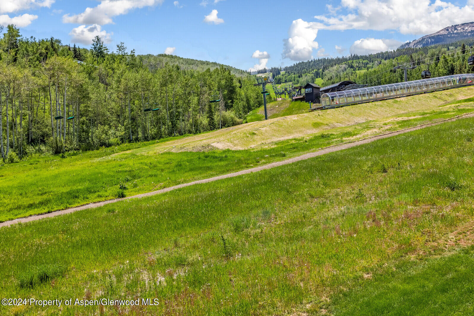 360 Wood Road, 301