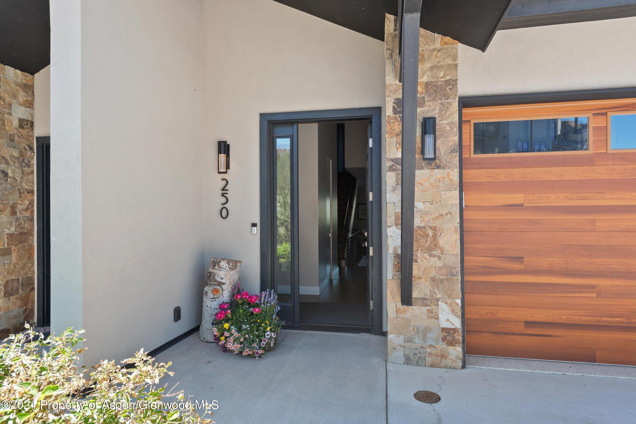 250 Overlook Ridge #250