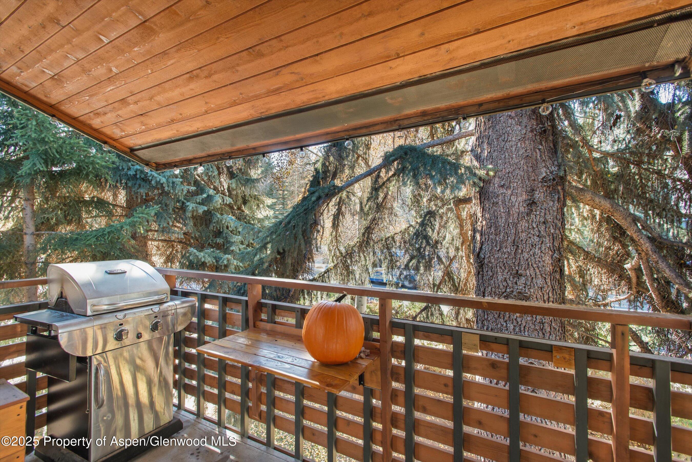 910 W Hallam Street Unit 11